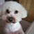 Jacqueline Dickson-Gunn's profile image