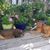 Julie Bundy's profile image