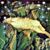 Cindy Molnar's profile image