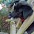 Barbara Erbacher's profile image