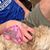 Brandy Jo Brown's profile image