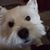 Tara Hengst's profile image
