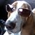 Parnelli Porter's profile image
