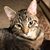 Kathleen Haynes's profile image