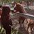 Linda Chiles's profile image