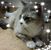 Jewels Igmugleska Nieschulz's profile image