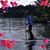 Heather Westing's profile image
