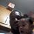 Demarian King's profile image