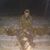 Dalton Taylor's profile image