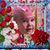 Gail Cook's profile image