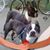 Angela M Petersen Egbarts's profile image