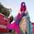 Donna Karas's profile image