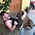 Nick Goikovich's profile image