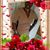 Michelle Cooper's profile image