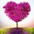 Michelle Smith's profile image