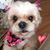 Lola Gaw's profile image