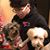 Jonathan Garcia's profile image