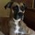 Stephen Aidana Foster's profile image