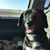 Holly Estwick's profile image
