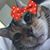 Tonya Field's profile image