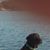 Stephen Sparkman's profile image