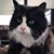 Rashid H. Rashid's profile image