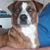 Bonnie Soares's profile image
