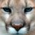 Vivienne Homann Baranowski's profile image