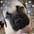 Michale Smith's profile image
