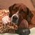 Jacqueline Persing's profile image