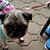 Mary Reifsteck's profile image