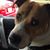 Jennifer Gray's profile image
