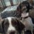 Brenda Fitzgerald's profile image