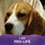 Teresa C. NeSmith's profile image