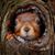 Muriel Haveraels's profile image