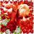 Donna Jordan Thomas's profile image