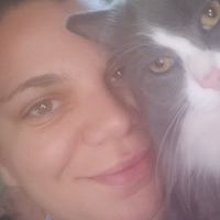 Lisa Zwerk's profile image