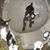 Janet M. Rigo's profile image