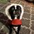 Buffy Yaklin's profile image