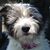 Julie Molloy's profile image