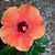 Kelly Parker-Powell's profile image