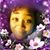 Deidre Dillard's profile image