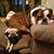 Tricia Whitehead Sievers's profile image