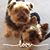 Ronn McGreevy Smith's profile image