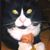 Jenn Hodgdon's profile image