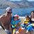 Chris Harrison's profile image