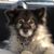 Brian Pate's profile image