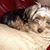 Beverly Brzozowski's profile image