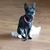 Katie Schizas Glass's profile image