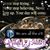 Phena Hackett's profile image